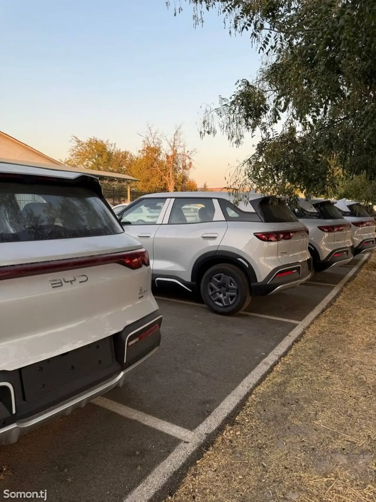BYD Yuan Up 2025 · AMT