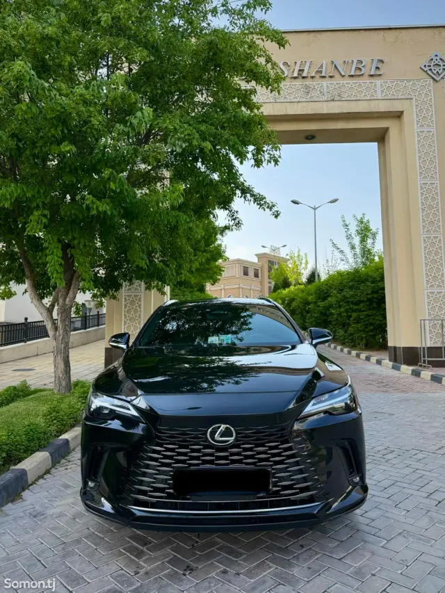 Lexus RX series 2025 · 3.5 AT