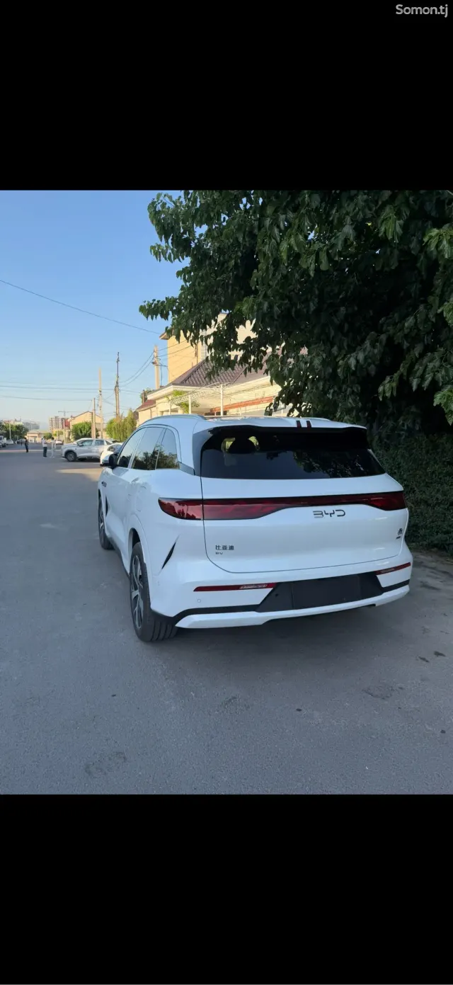 BYD Tang 2025 · AT