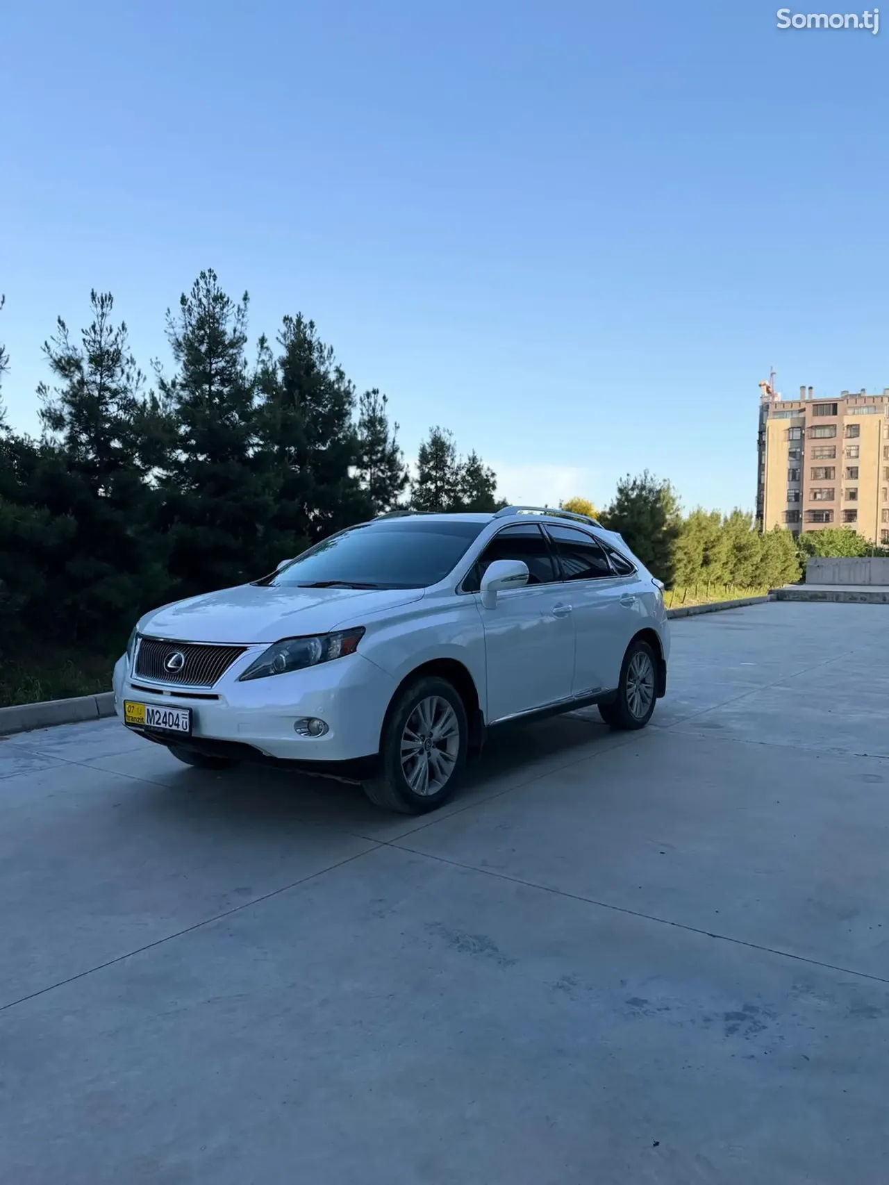 Lexus RX series 2010 · 4.5 AT