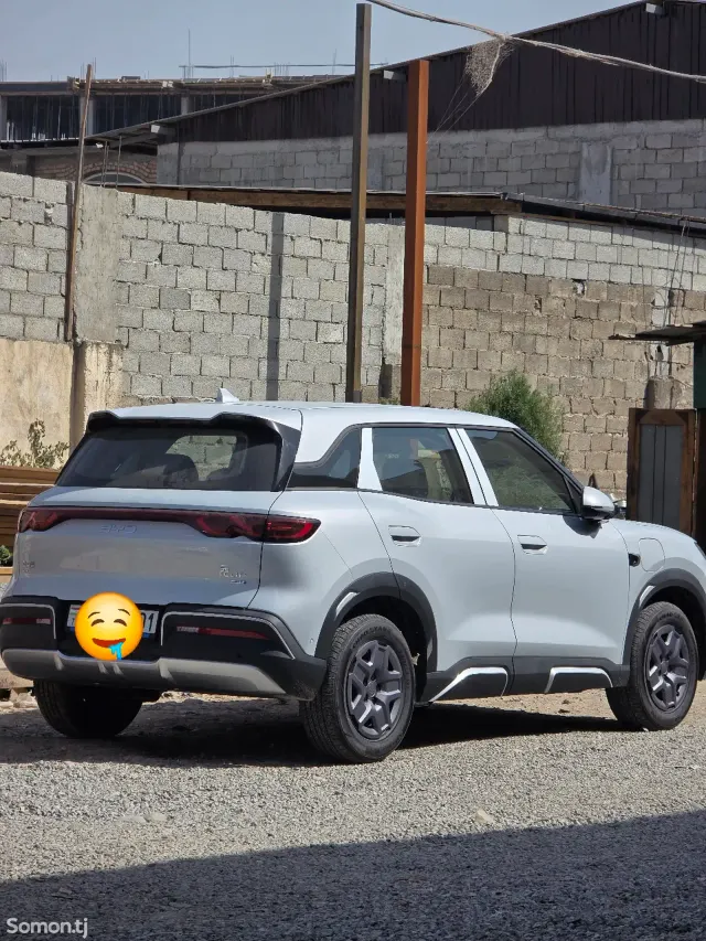 BYD Yuan Up 2025 · AT