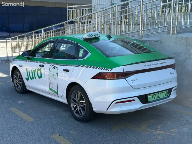 BYD Qin Plus 2024 · AMT