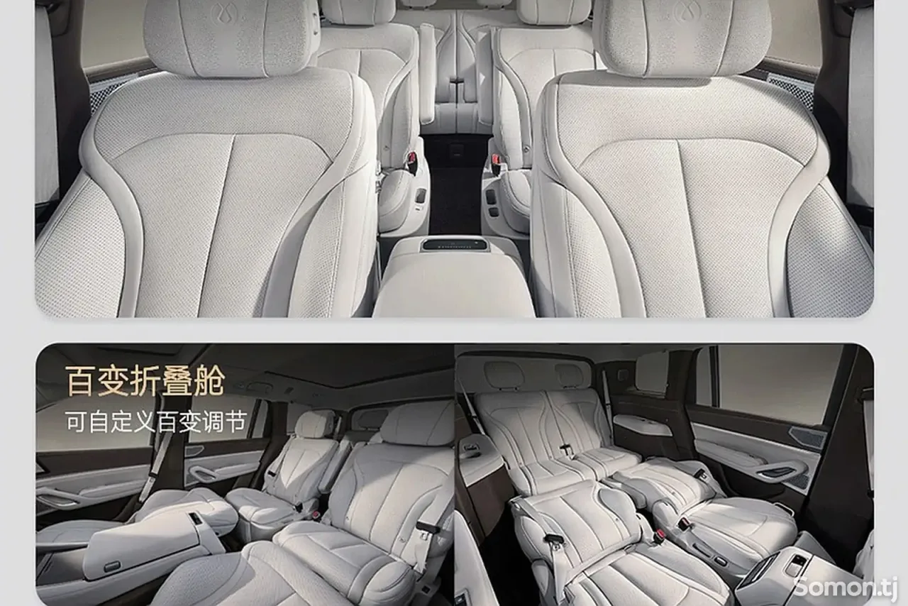 BYD Denza N9 2025 · 2.0 AT