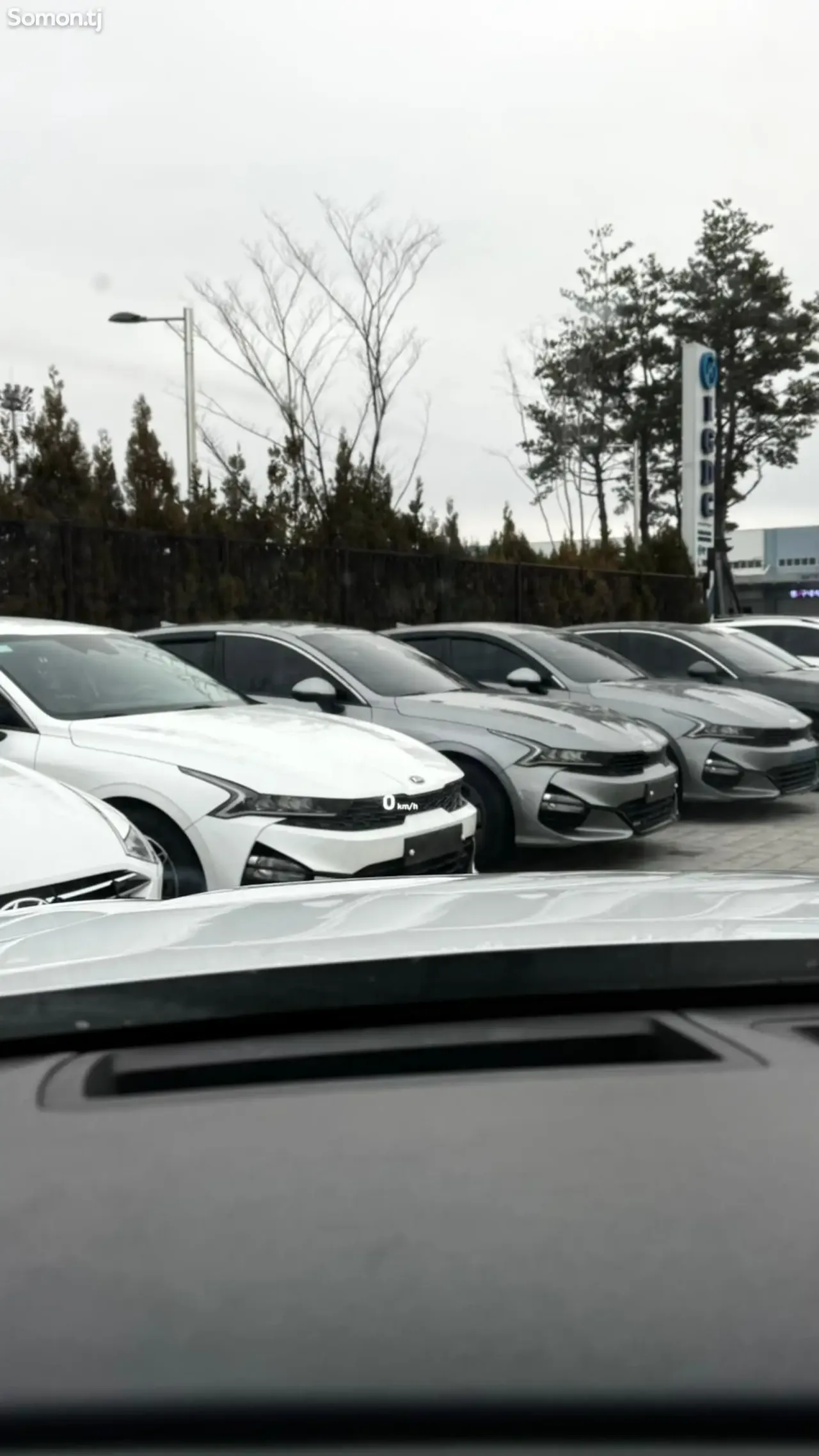 Hyundai Palisade 2020 · 2.2 AT
