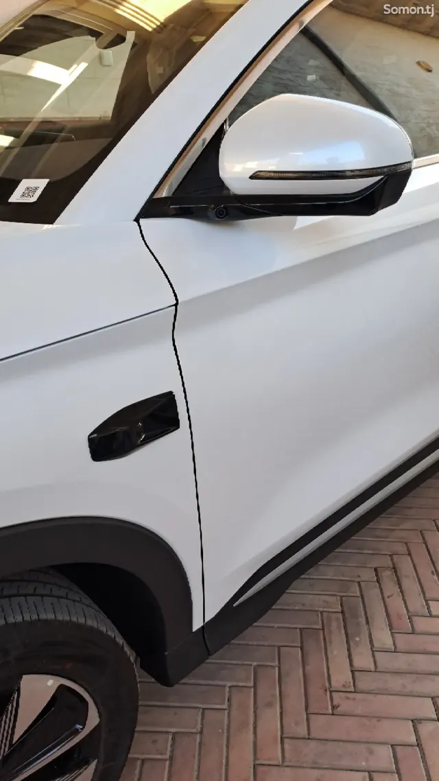 BYD Sea Lion 06 2025 · AMT