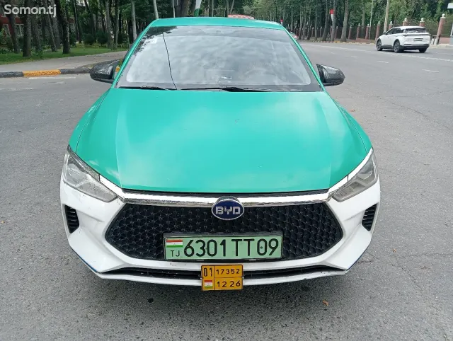 BYD E2 2022 · AT