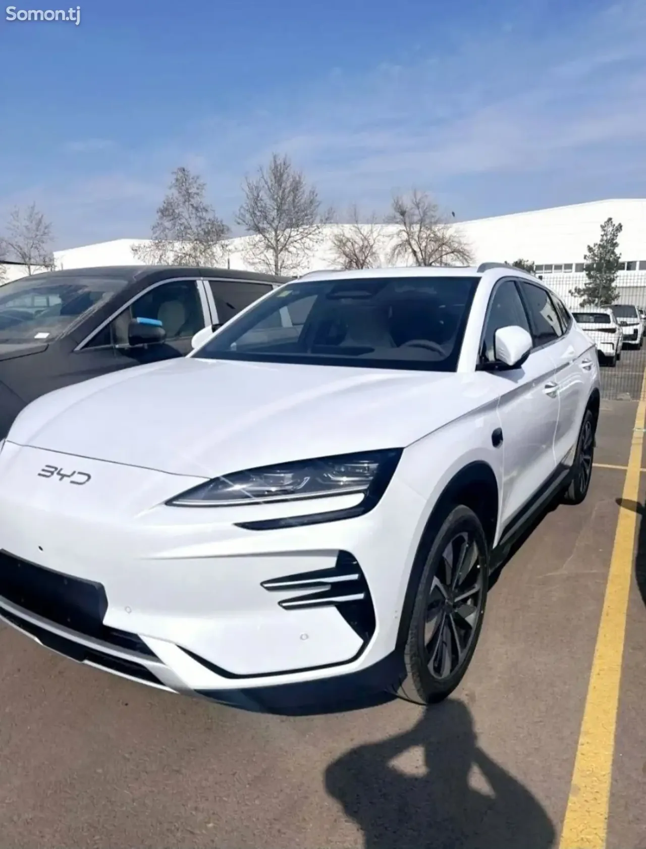BYD Song Plus 2025 · AMT