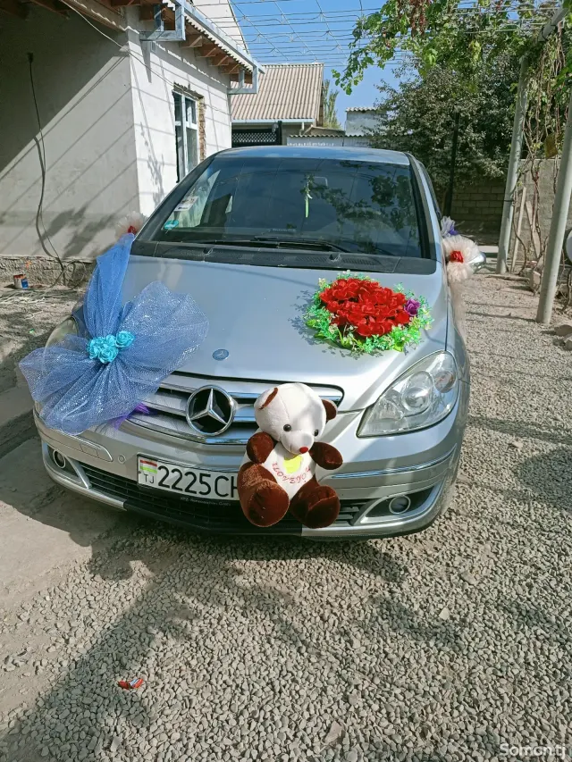 Mercedes-Benz B class 2007 · 2.0 CVT