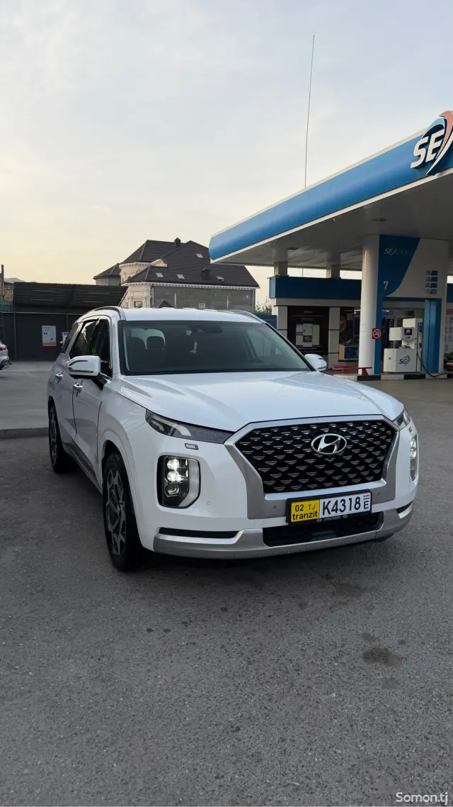 Hyundai Palisade 2021 · 2.0 AT