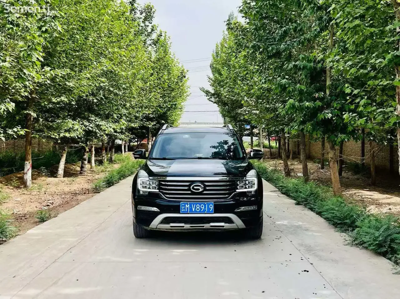 GAC Trumpchi GS8 2017 · 2.0 AT