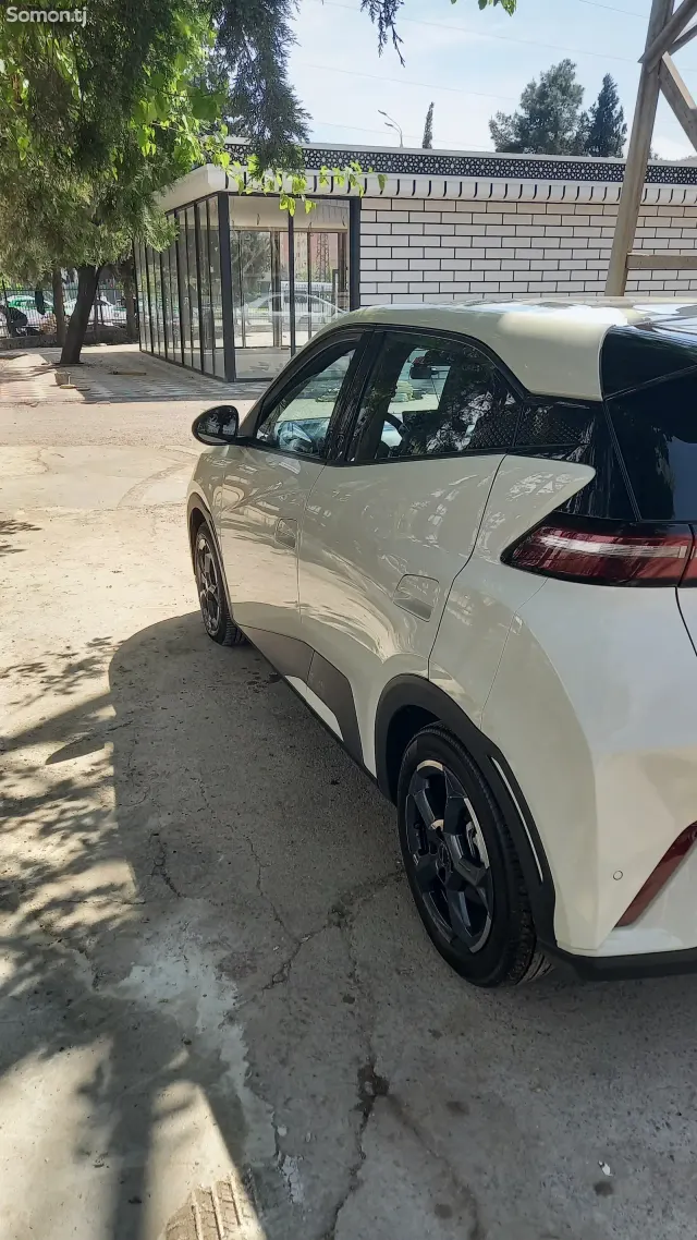 BYD Seagull 2023 · 1.6 AT