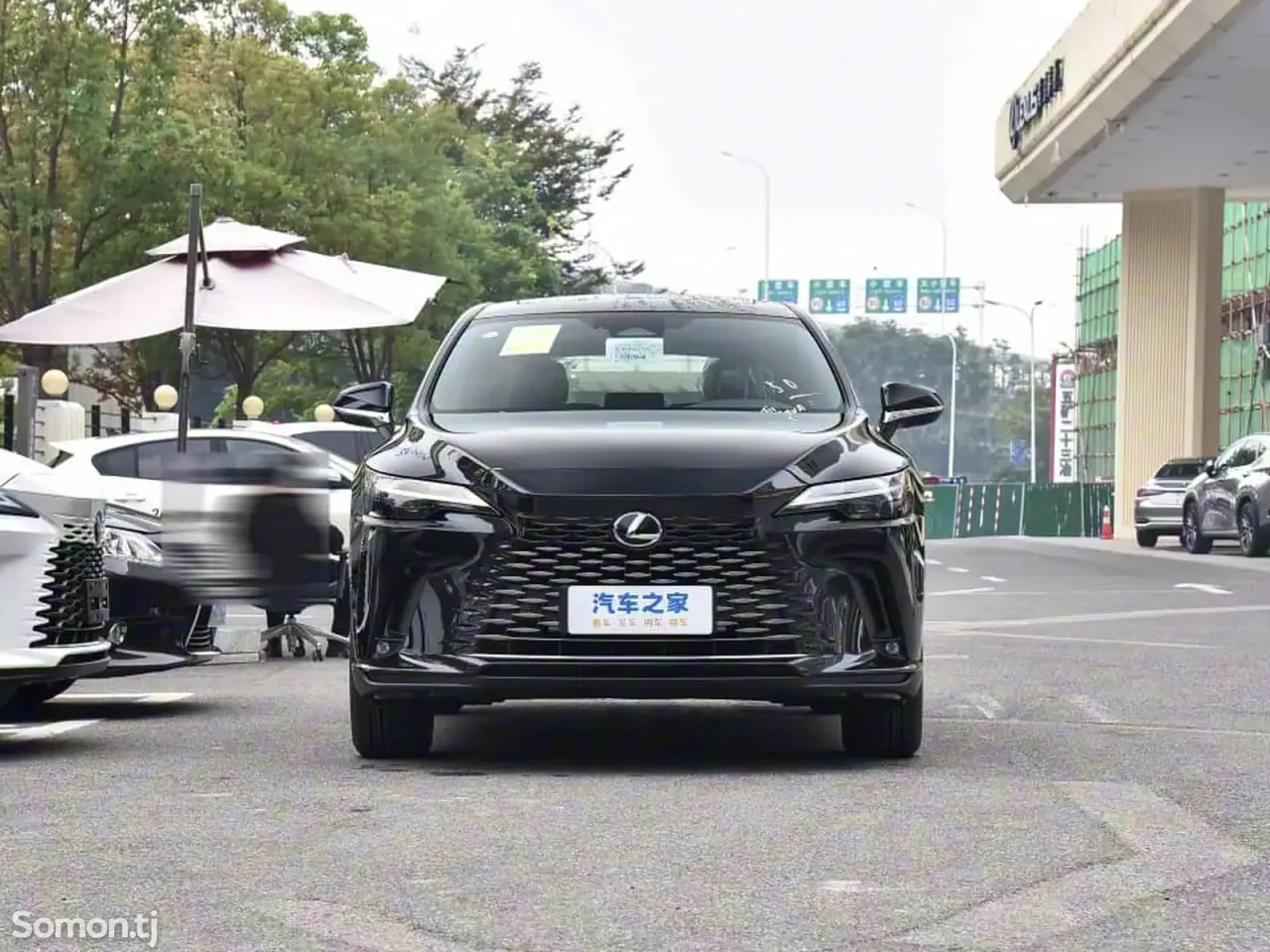 Lexus RX series 2025 · 2.5 AT