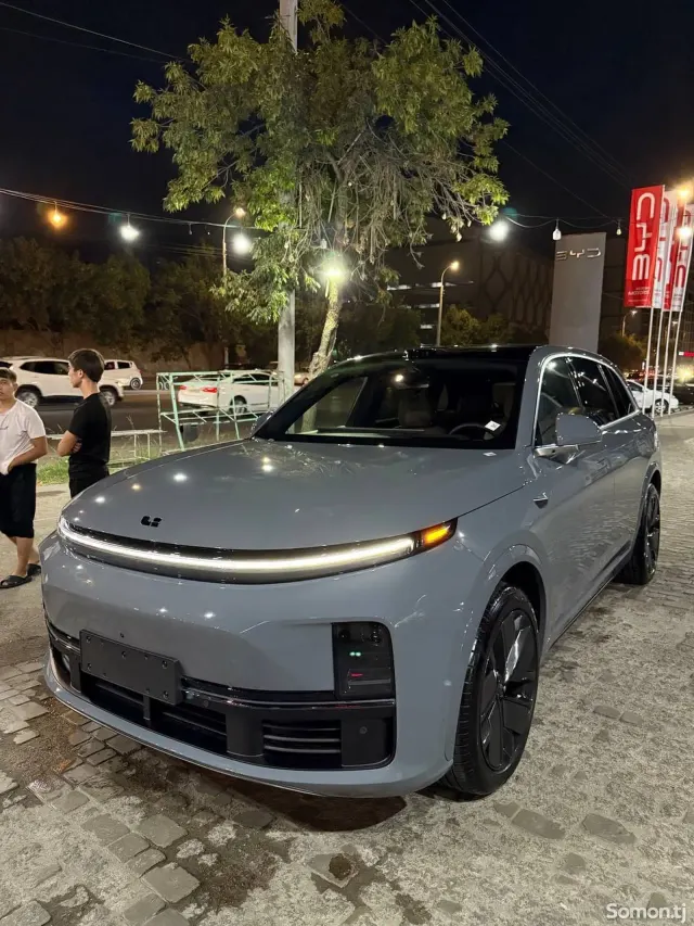 Li Auto (Lixiang) L9 2025 · 2.0 AMT