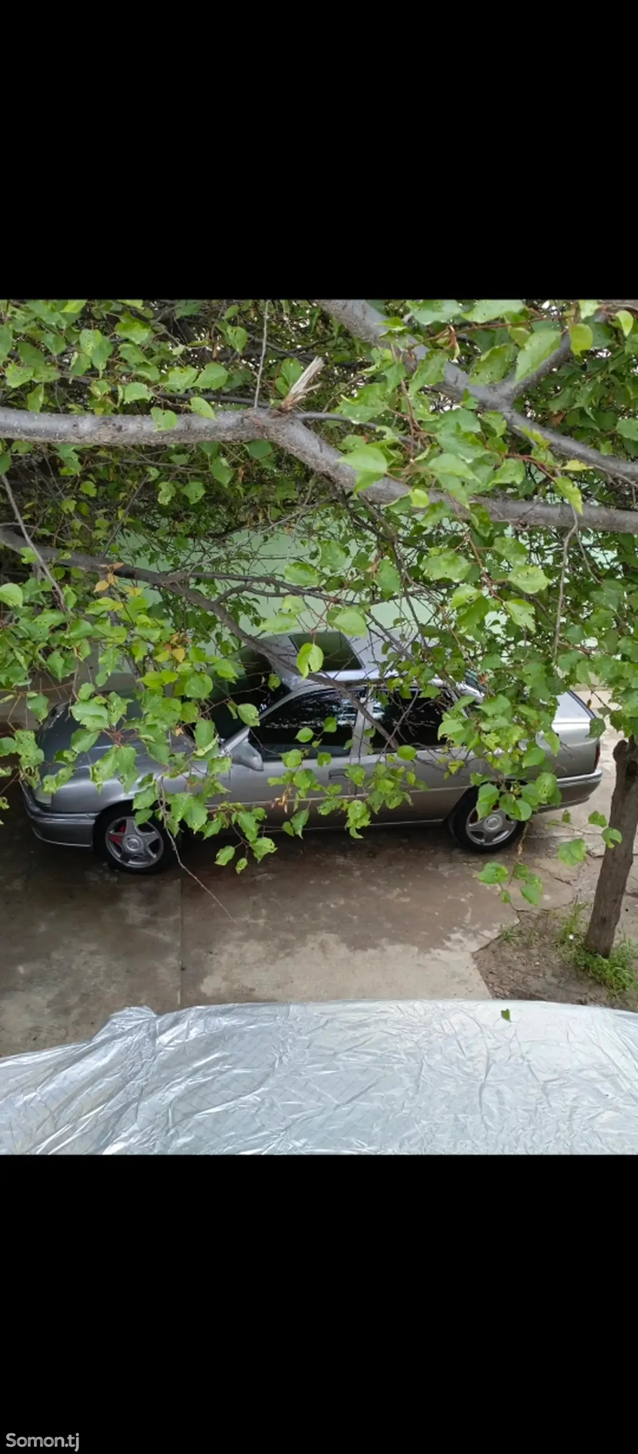 Opel Vectra A 1994 · 1.6 MT