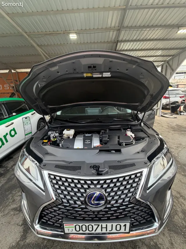 Lexus RX series 2022 · 4.5 AT