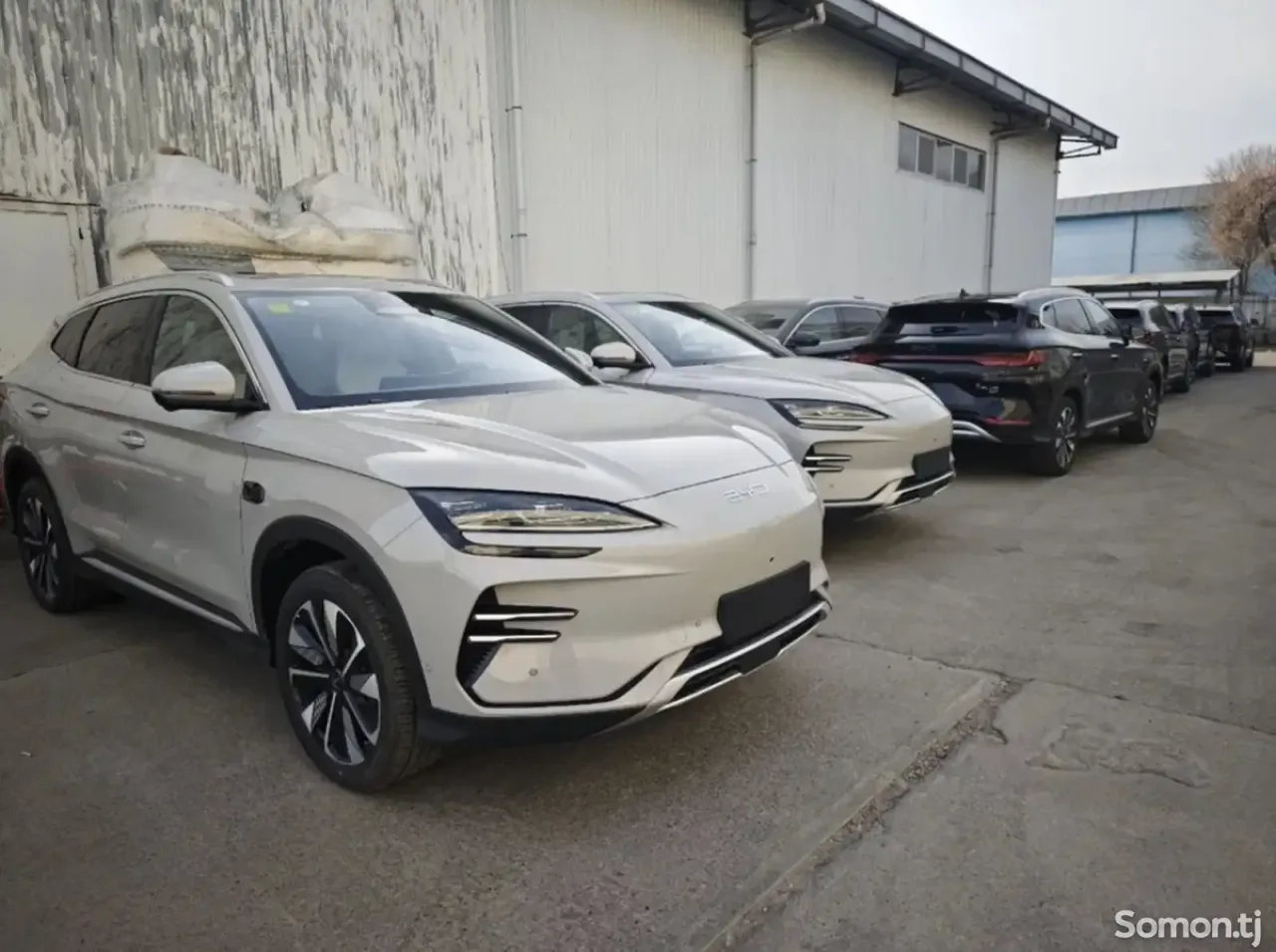 BYD Song Plus 2025 · AMT