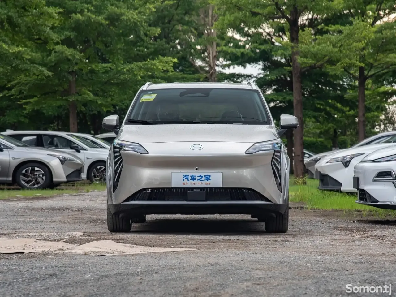 GAC Aion Y 2025 · AT