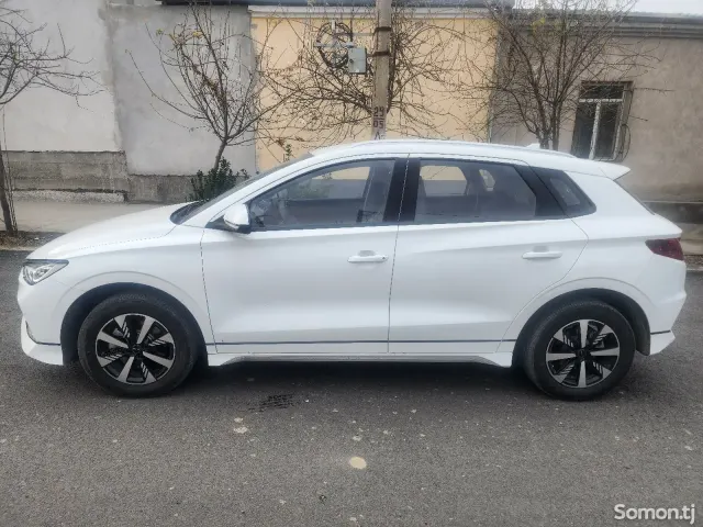 BYD E2 2024 · AT
