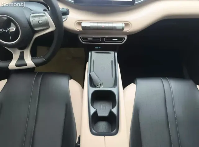 BYD Seagull 2024 · AT