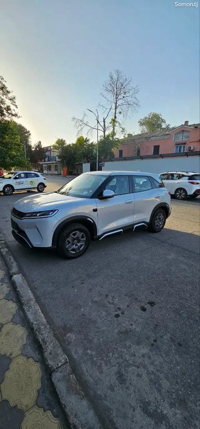 BYD Yuan Up 2025 · AT