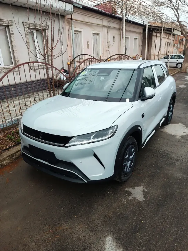 BYD Yuan Up 2025 · AMT