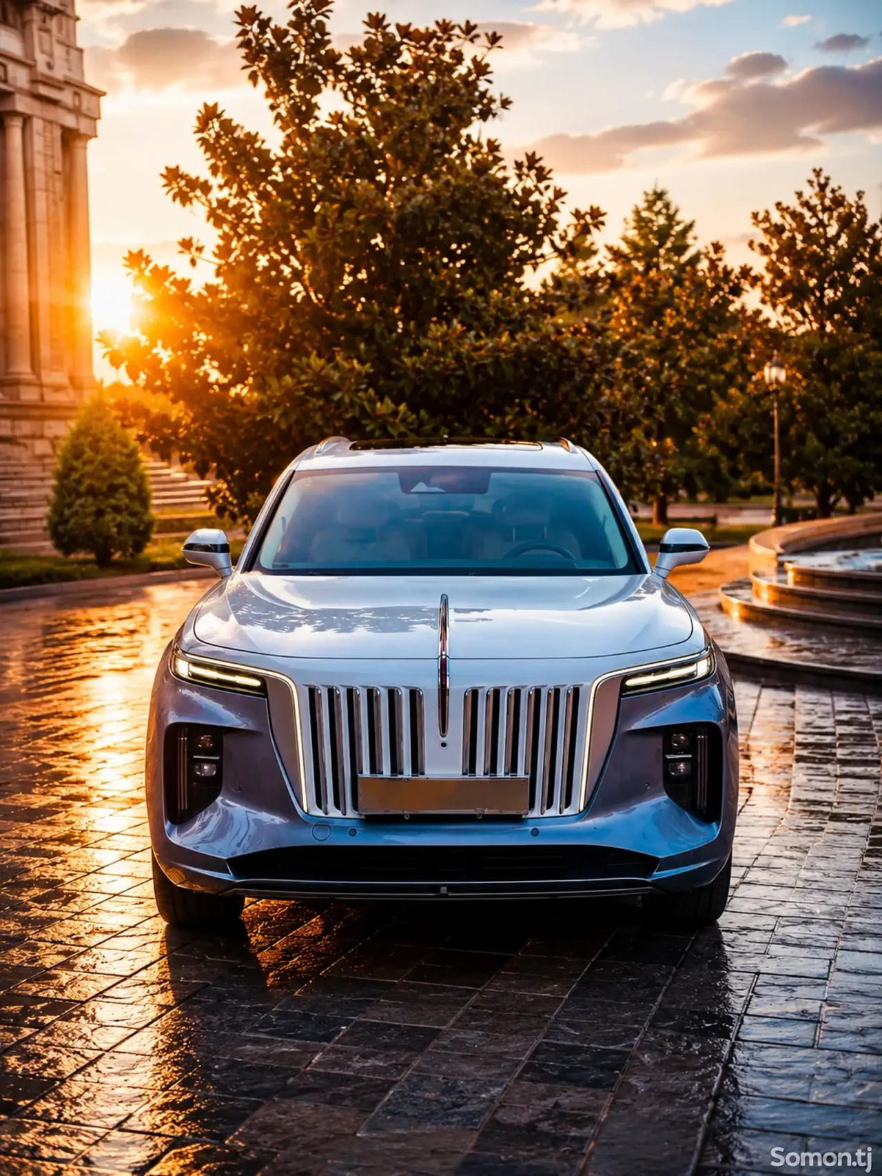 Hongqi E-HS9 2022 · AT