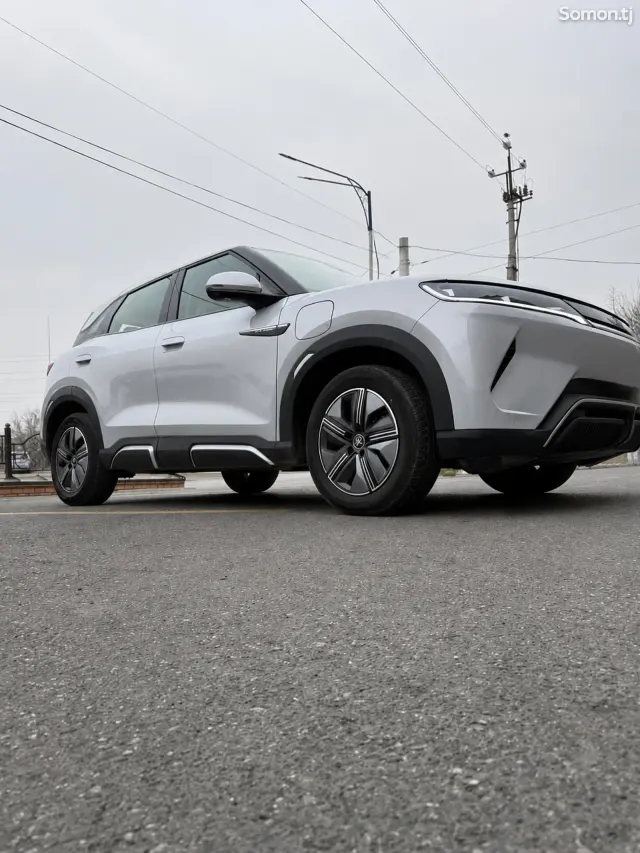 BYD Yuan Up 2024 · AT