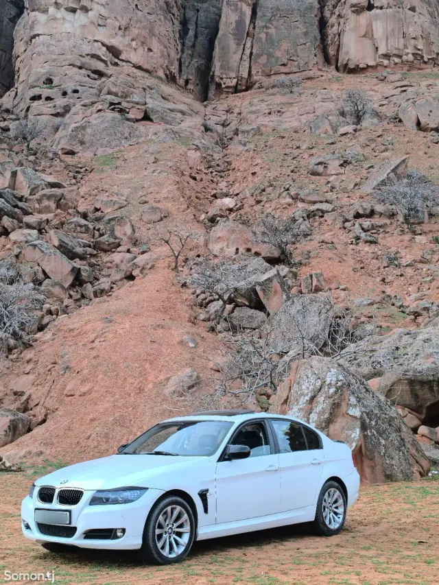 BMW 3 series 2011 · 2.0 AT