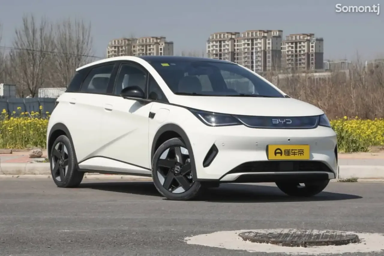 BYD Dolphin 2025 · AT