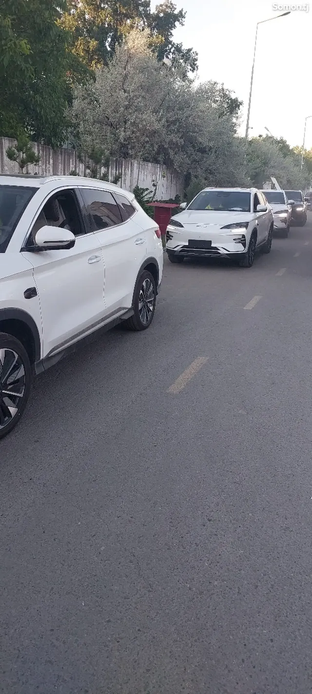 BYD Song 2025 · 2.0 AT