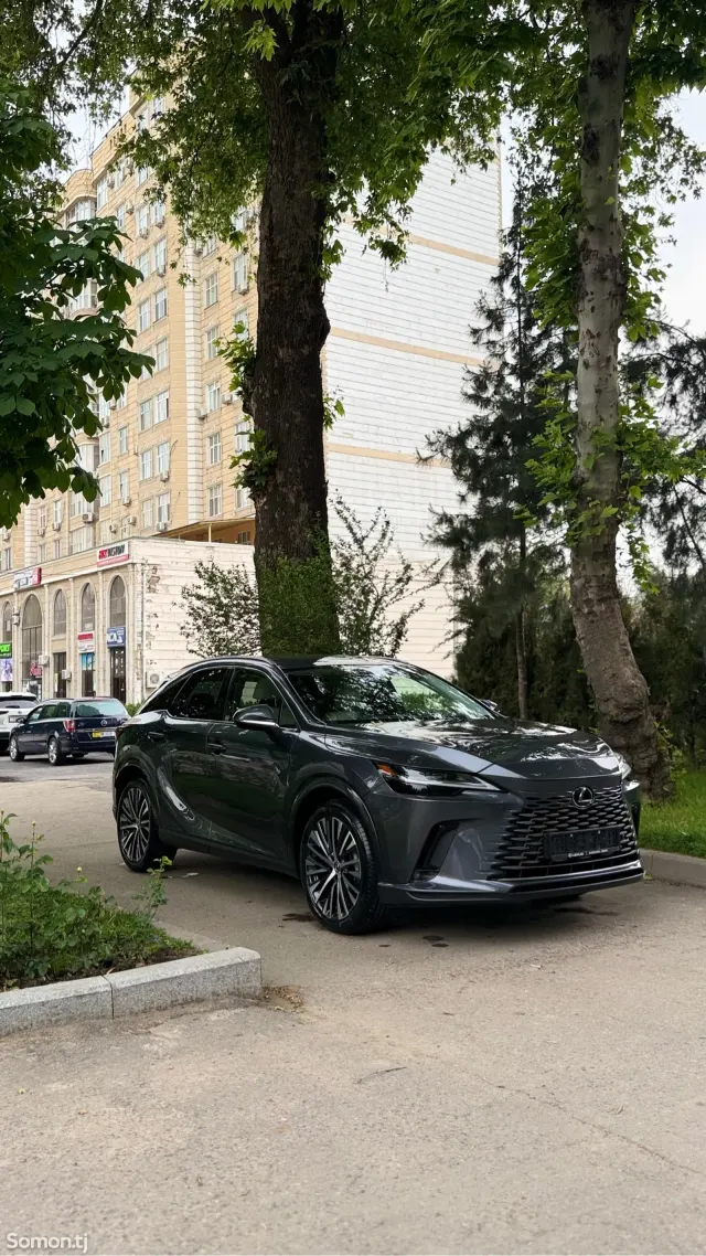 Lexus RX series 2025 · 3.5 AT