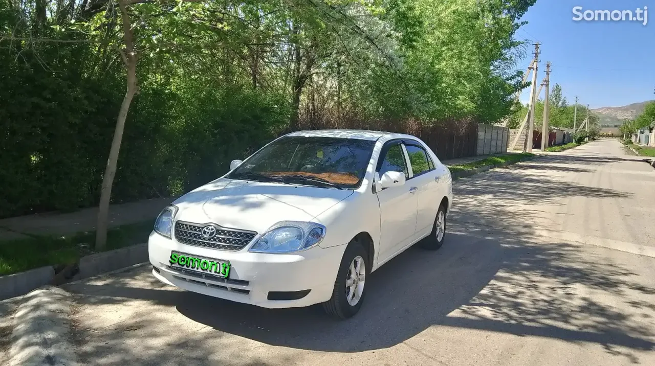 Toyota Corolla 2001 · 1.4 AT