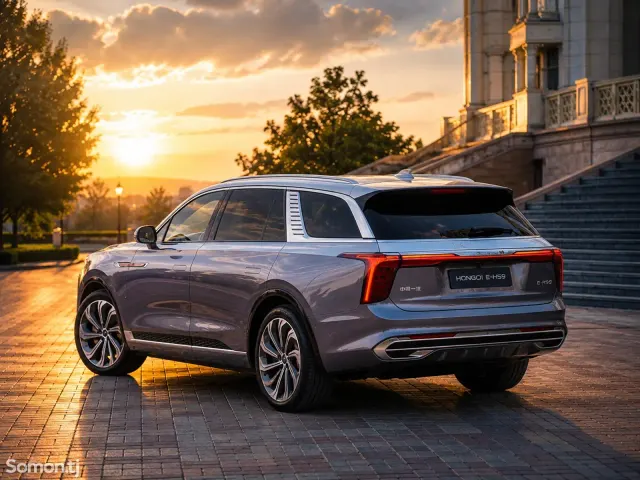 Hongqi E-HS9 2022 · AT