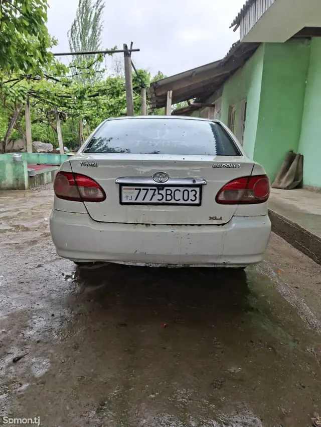Toyota Corolla 2006 · 1.3 MT