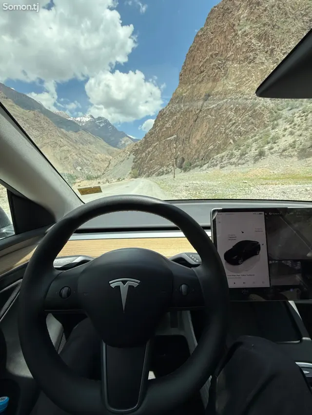 Tesla Model Y 2022 · AT