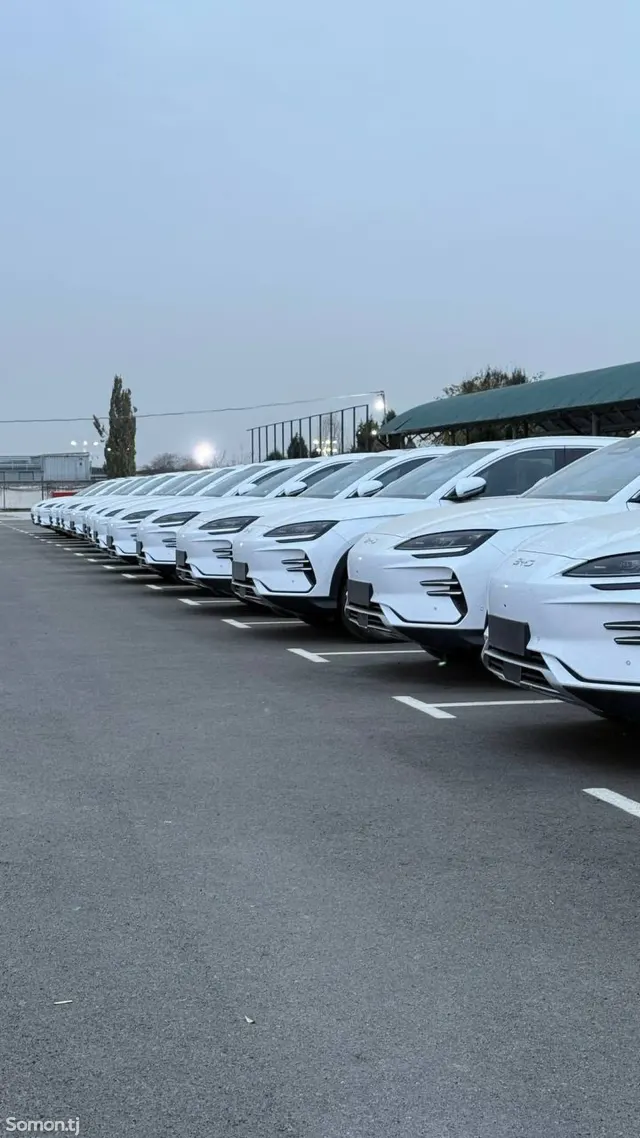 BYD Song Plus 2025 · AMT