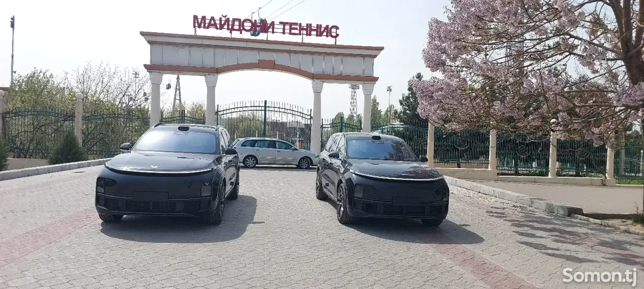 Li Auto (Lixiang) L9 2025 · 1.5 AMT