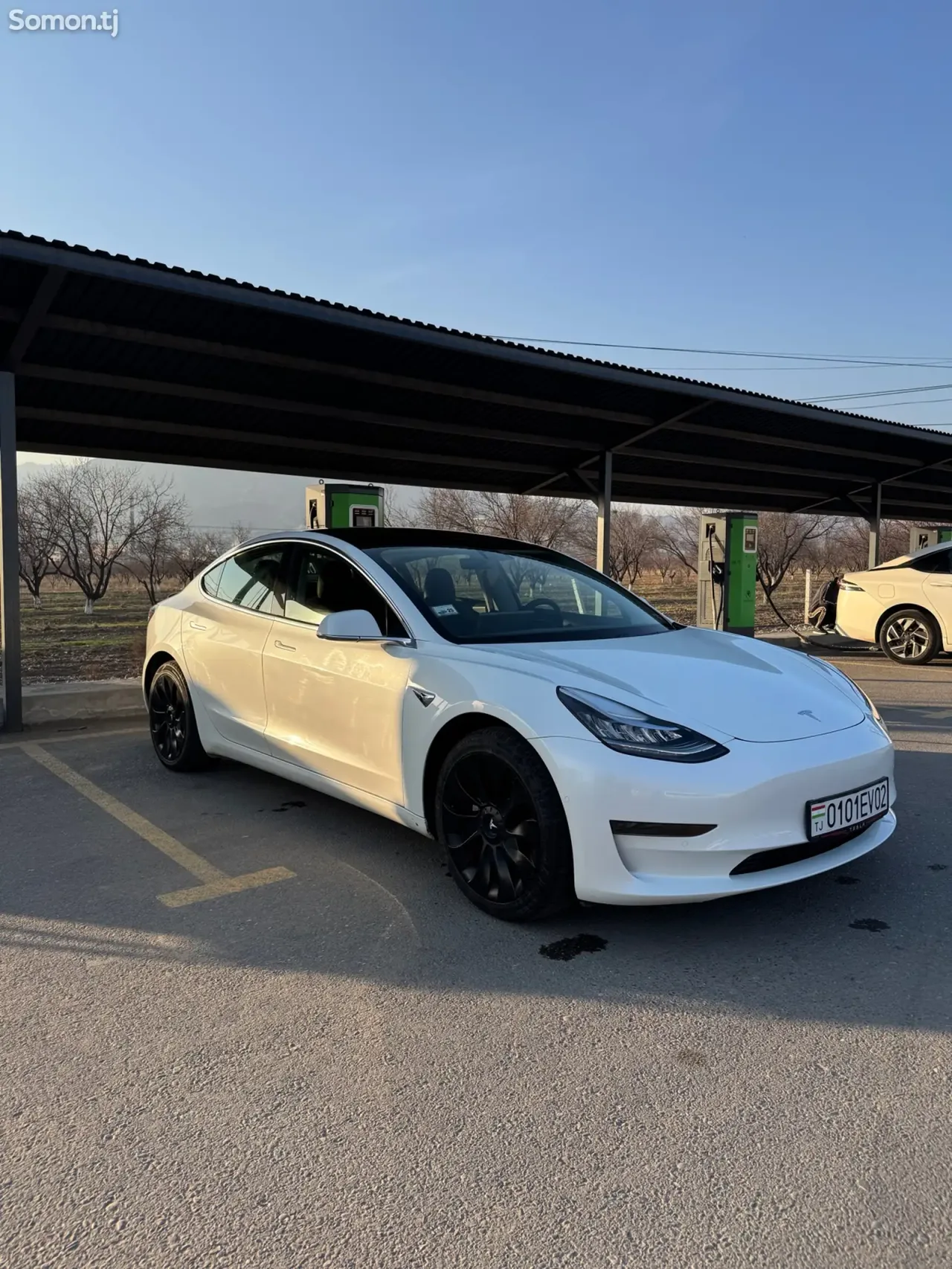 Tesla Model 3 2021 · AT