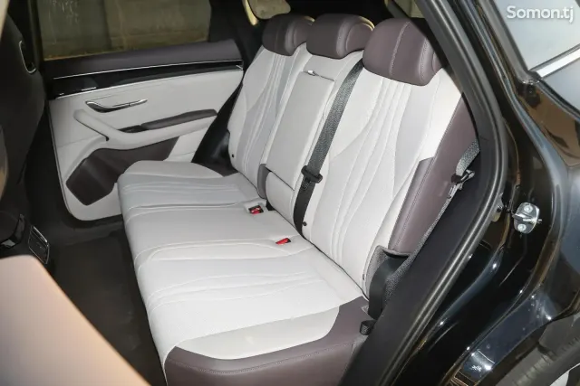 BYD Song Plus 2025 · AMT