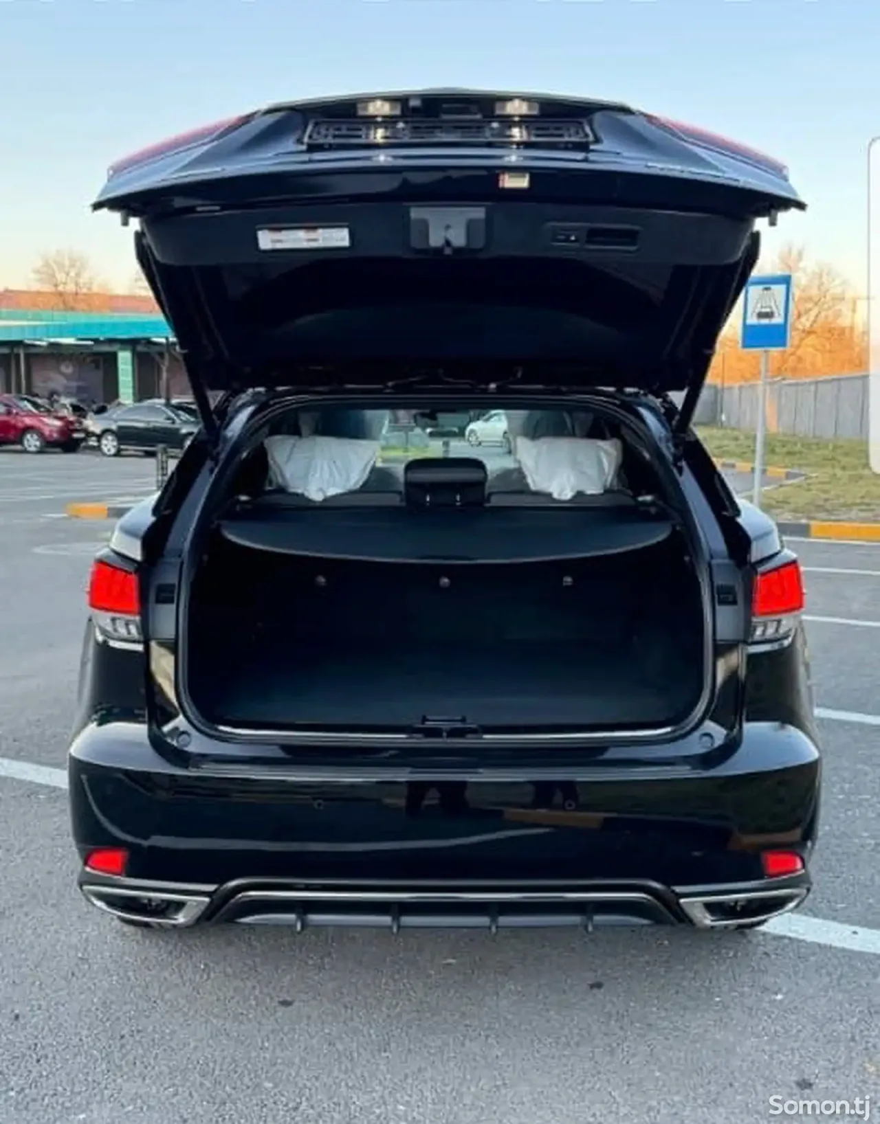 Lexus RX series 2021 · 3.5 AT