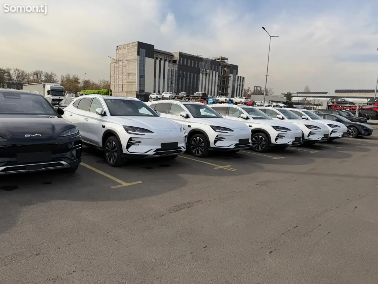 BYD Song Plus 2025 · AMT
