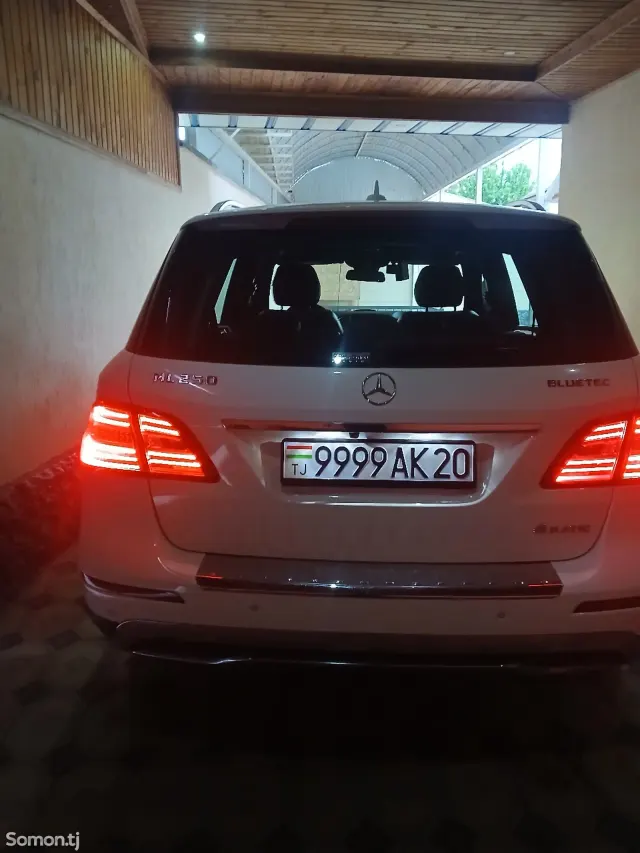 Mercedes-Benz ML class 2013 · 2.5 AT