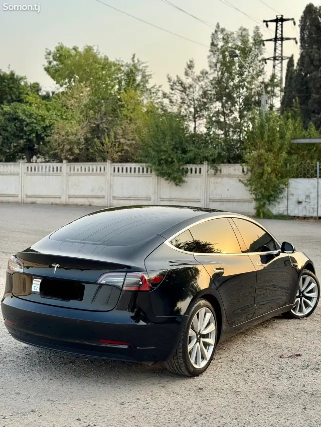 Tesla Model 3 2019 · AMT