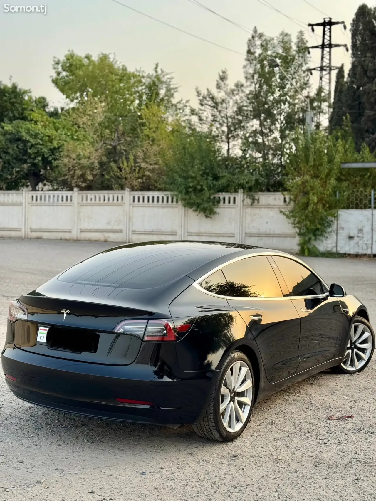 Tesla Model 3 2019 · AMT