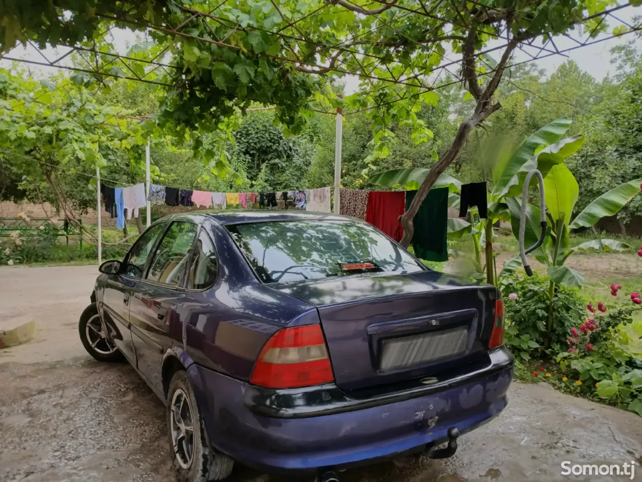 Opel Vectra B 1997 · 1.6 MT