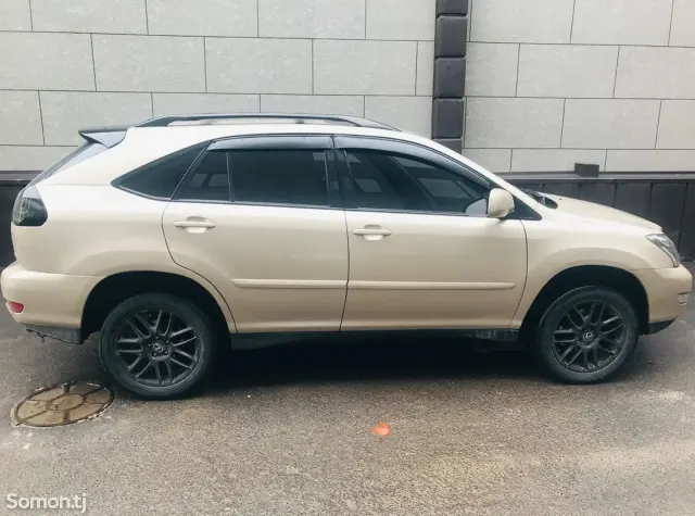 Lexus RX series 2004 · 3.3 AT