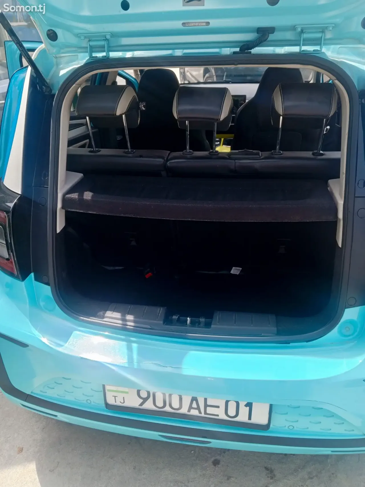 JAC E-JS1 2022 · AT