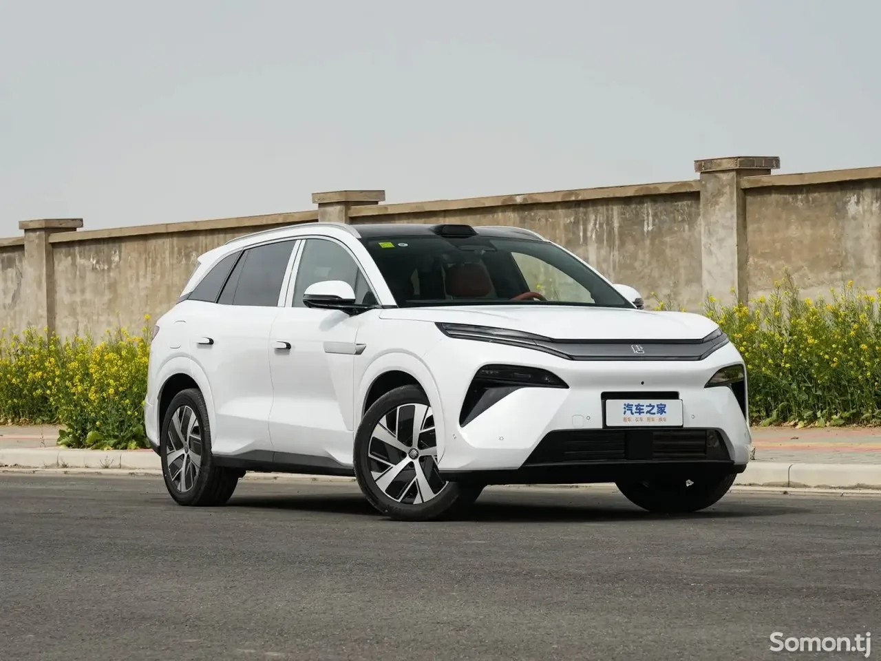 BYD Tang 2025 · AT