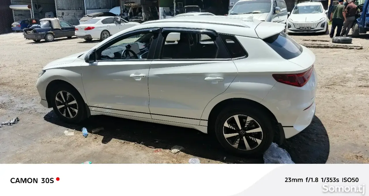 BYD B2 2024 · 2.0 AMT