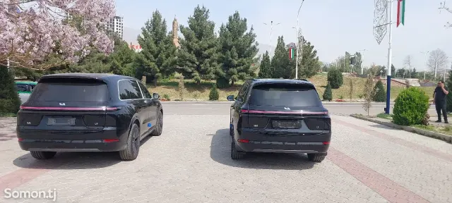 Li Auto (Lixiang) L9 2025 · 1.5 AMT